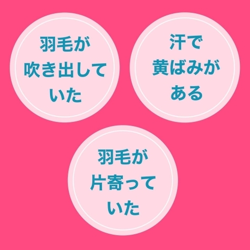 「お布団のお手入れ【岩手県で布団・枕を購入するなら、やよいリビング】」