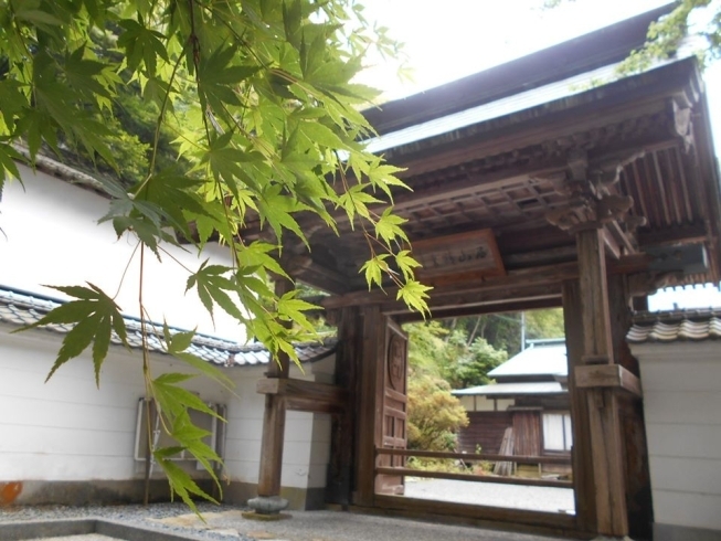 「西条市『西山興隆寺』は、本日6月1日より参拝が可能になっております。」