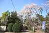 富士浅間神社