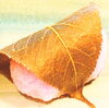 道明寺2個入り「ぐりむわーるど　ひな祭り　ケーキ　和菓子」