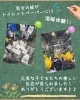 「【地域の取り組み】工場見学　～桜町小学校様～」