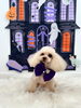 ゆめちゃん「Happy Halloween 2026🎃」