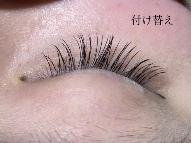 重量 詩 著名な まつ毛 エクステ 接着 剤 鋭く リード キャメル 重量 詩 著名な まつ毛 エクステ 接着 剤 鋭く リード キャメル