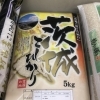 茨城県産こしひかり 5kg