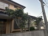 Before「刈り込み・剪定事例紹介」