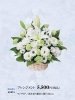 花キューピットのお盆花 22 花キューピットでお花じかん まいぷれ 黒部 入善 朝日 花キューピットのお盆花 22 花キューピットでお花じかん まいぷれ 黒部 入善 朝日