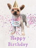「Dog salon mofu mofu　余市町」