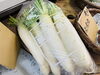 大根　1本75円「新鮮な野菜が揃っています！」