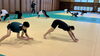 トレーニング「酒田光陵高校・新庄東高校ボクシング部合同トレーニング！」