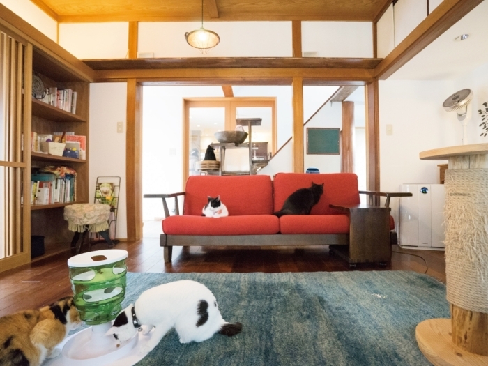 10 Necot Coffee House ネコットコーヒーハウス 葛西 カフェ スイーツ 江戸川 編集部がオススメする江戸川区内の パン屋さん ケーキ屋さん カフェ をご紹介 まいぷれ 江戸川区 10 Necot Coffee House ネコットコーヒーハウス 葛西 カフェ スイーツ 江戸川 編集部がオススメする江戸川区内の パン屋さん ケーキ屋さん カフェ をご紹介 まいぷれ 江戸川区