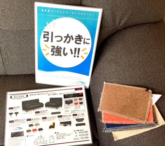 「ペットを飼われる方に人気！高性能生地「ライブスマート」を使用したソファ「クラーナ」ならキズつきにくい♪ハイバックタイプも人気の秘訣！～ソファを買うならインテリアセイコーへ～」