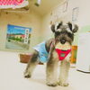 てんちゃん「今日のお友達」