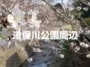 道保川公園周辺