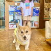 「8/17(土) 小樽」