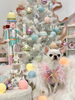 くうちゃん「Merry Xmas 🎄」