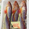 「魚魚市場鮮魚コーナーおすすめは「北海道産ホタテ・ノドグロ」です♪」
