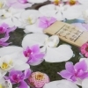 ミニ胡蝶蘭が胡蝶蘭を引き立てています。「第五回花手水がはじまりました。」