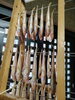 「📣本日のお魚情報🐟」