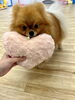 つくねちゃん。あごのせチャレンジ「ましゅまろ幼稚園🐾＆新入園児さん」