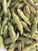 そら豆が豊作です「野菜棚できました【西京区　自然食品】」