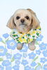 「Dog salon mofu mofu　余市町」