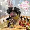 シーズー　カット「🐶ダックス、ミックス犬、トリミングのお友達🌸」