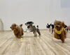 みんなで走るよ💨　レオくん大好きなボール離しません　笑「ましゅまろ幼稚園🐾」