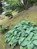 「会津の旅 前編」