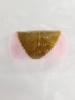 さくら餅「◇◆いちご雛◆◇」
