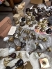 海外配送可】【送料無料】 antique プップさま】* ❀ プレート