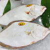 「魚魚市場鮮魚コーナーおすすめは「クエ」「クロムツ・カマス」です♪」