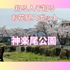 神楽尾公園。津山のお花見スポット紹介！