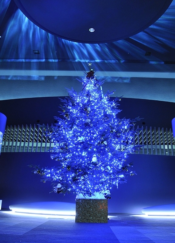新潟市のイルミネーション クリスマスツリー情報19 新潟市のおでかけ情報まとめ まいぷれ 新潟市 新潟市のイルミネーション クリスマスツリー情報19 新潟市のおでかけ情報まとめ まいぷれ 新潟市