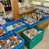 「道の駅木曽福島 信州産『桃』が美味しい季節です！」