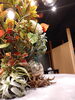 裏側にも木と多肉植物「ホテルディスプレイ」