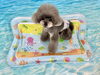 とわくん「波とわんこ🌊」