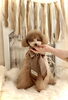 ＭｕＭｕ　１番め　シルバーベージュカラー「Happy Valentine 💕」