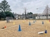 「実技審査」ピルエット飛行。15-20秒回転「【茨城】【水戸】【茨城県】【一等ドローン操縦士・㊗️誕生㊗️】25-01-12【ドローン】【免許】【資格】」