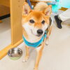 まるちゃん「今日のお友達」