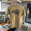 「コットンTシャツ入荷しました」