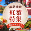 【諏訪の紅葉2026】見頃・おすすめ紅葉スポットまとめ