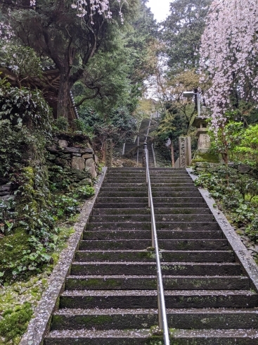 階段。長谷寺「アート」