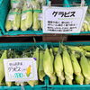 「木曽の高原とうもろこし毎朝入荷します！道の駅木曽福島」