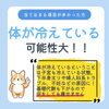 当てはまる項目が多かった方へ「冷え性は太りやすい！？」