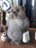 賜り を よう 変わら ご ぬ 愛顧 ます