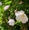 「圃場で研修風景です🌳」