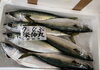 「ハラコ販売中でーす‼️鮮魚パックいろいろ販売中‼️〆鯖も販売致します🐳」