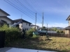 生垣の伐採and抜根「川西市大和東でお庭の抜根作業をしました！」