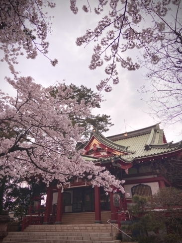 奥の院も素敵でした「お花見」