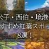 米子・西伯・境港のおすすめ紅葉スポット8選！